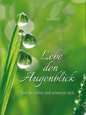 cover image of Lebe den Augenblick